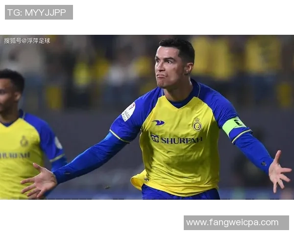 综极足球：探索未来足球的新趋势与发展潜力