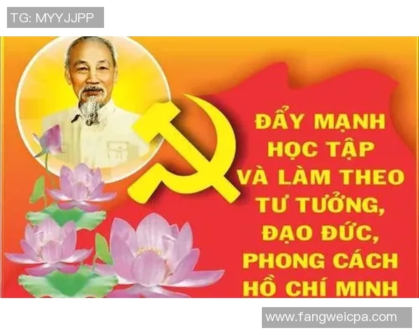 胡志明足球的崛起与发展探索以及对越南体育文化的深远影响