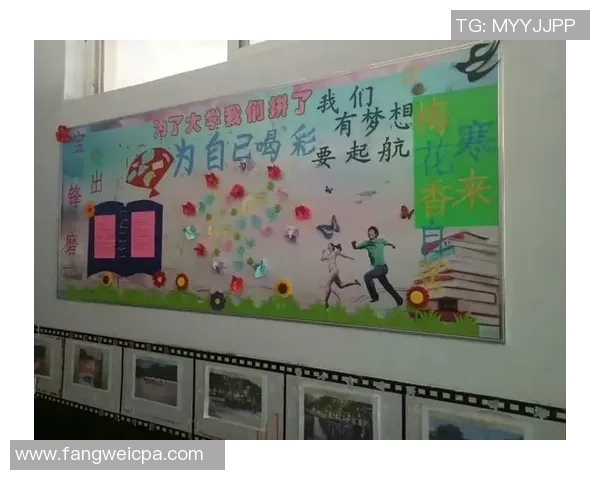 静物足球的魅力探寻：在静谧中感受运动的激情与艺术之美