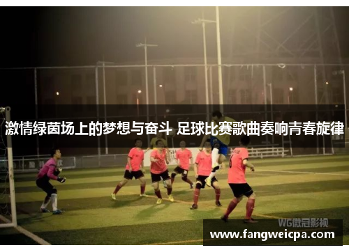 激情绿茵场上的梦想与奋斗 足球比赛歌曲奏响青春旋律