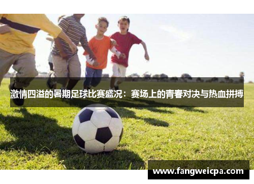 激情四溢的暑期足球比赛盛况：赛场上的青春对决与热血拼搏