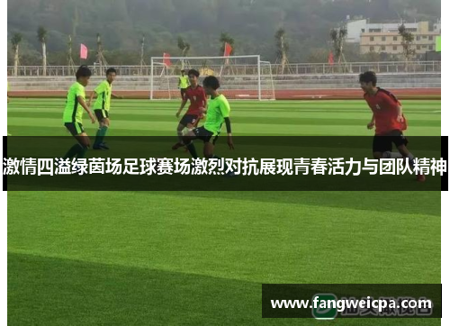 激情四溢绿茵场足球赛场激烈对抗展现青春活力与团队精神
