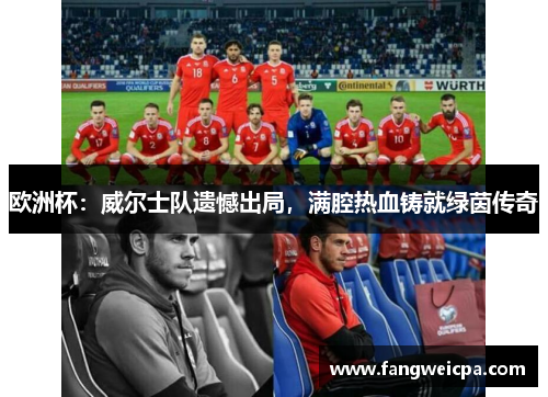 欧洲杯：威尔士队遗憾出局，满腔热血铸就绿茵传奇