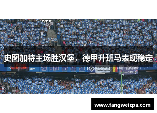 史图加特主场胜汉堡，德甲升班马表现稳定