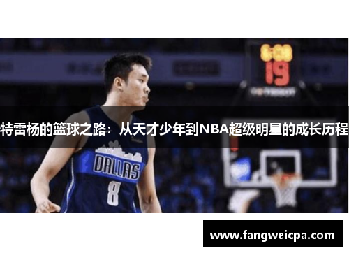 特雷杨的篮球之路：从天才少年到NBA超级明星的成长历程