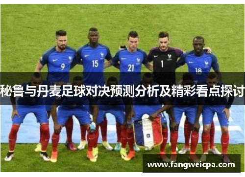 秘鲁与丹麦足球对决预测分析及精彩看点探讨