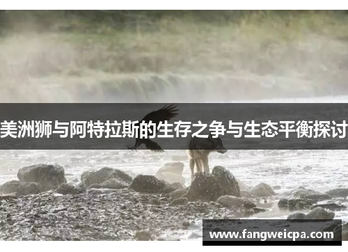 美洲狮与阿特拉斯的生存之争与生态平衡探讨