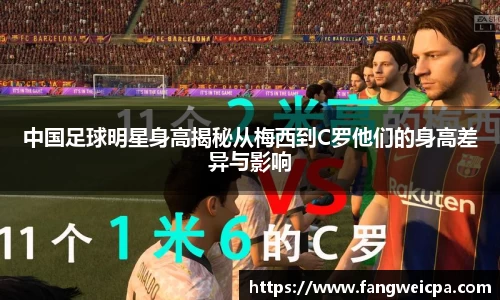 mk体育官网入口